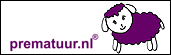 Prematuur - Kleding voor prematuur kindjes - Trendy op maat vanaf maatje 38 (opent in nieuw venster)
